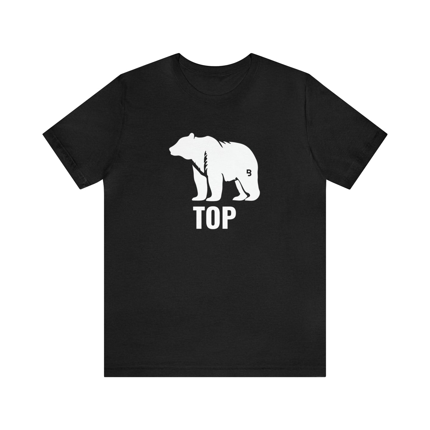 Top - Gay Bear T-Shirt. Gay Pride Role Shirt. Bear Pride Tee