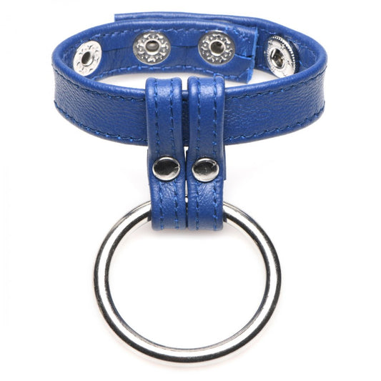 Leather and Steel Cock and Ball Ring - Blue