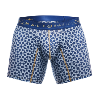 Stellar Boxer Brief